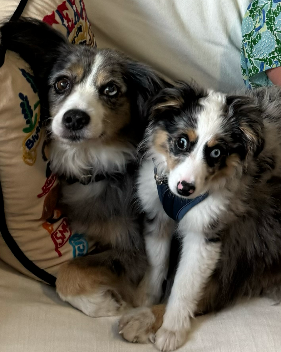 Portrait of Ozzy & Riley